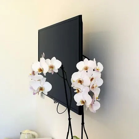 Design לינה וארוחת בוקר 4*