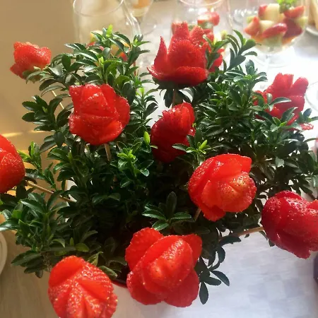 לינה וארוחת בוקר Design 4*