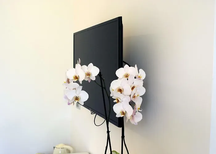 Design Bed and breakfast 4*