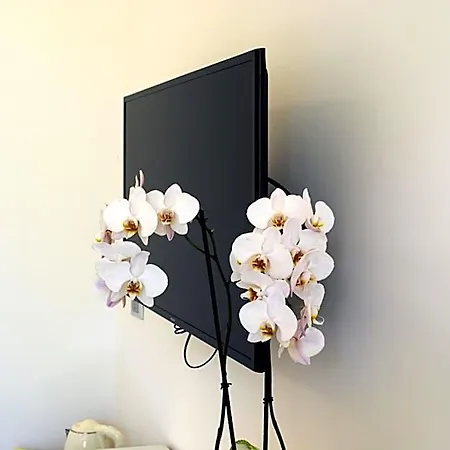Design 4*